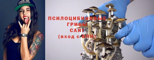соль ск Кинешма