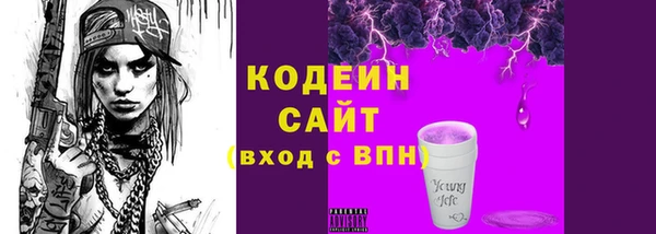 мдпв Кодинск