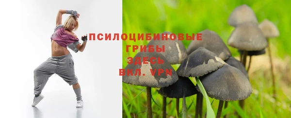 гашик Киренск
