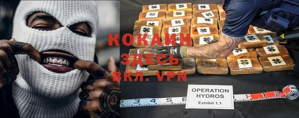 дживик Козловка