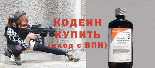 мдпв Кодинск