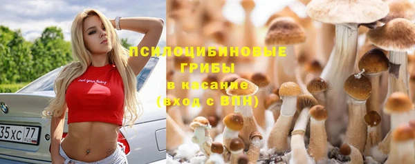 мдпв Кодинск